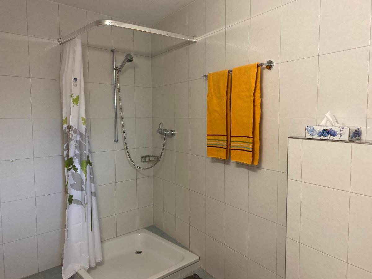 Ferienwohnung In Tschlin Mit Panoramablick Εξωτερικό φωτογραφία